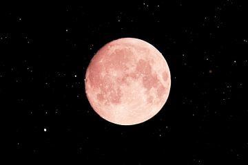Roze maan