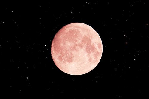 Lune rose sur Fleur Gaastra