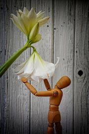 Begegnung von Claudia Evans