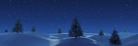 Winterlandschap met sparren bij nacht van Besa Art thumbnail