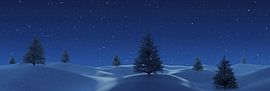 Winter landscape with spruce firs at night by Besa Art
