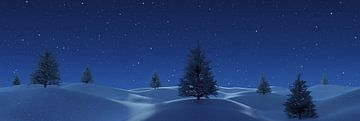 Winterlandschap met sparren bij nacht van Besa Art