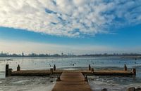Winter at the Kralingse Plas