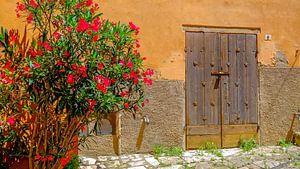 L'été en Toscane.