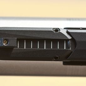 Le grain (front sight) du pistolet à air Feinwerkbau P8X PCP sur Rob Smit