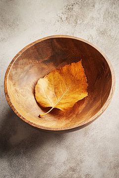 Golden autumn leaf in wooden bowl by Imperial Art House