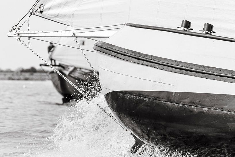 Close-up bow by ThomasVaer Tom Coehoorn