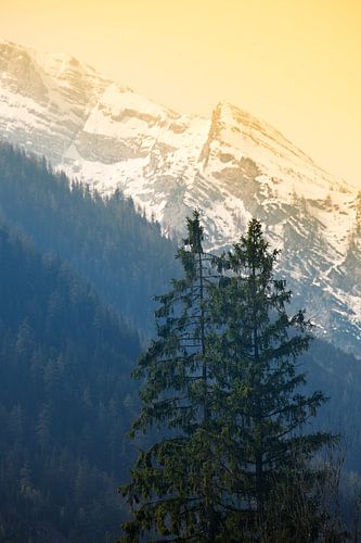 Alpen