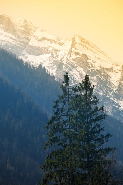 Alps by Bo Valentino