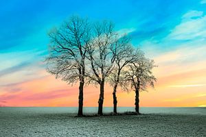 Winterlandschaft