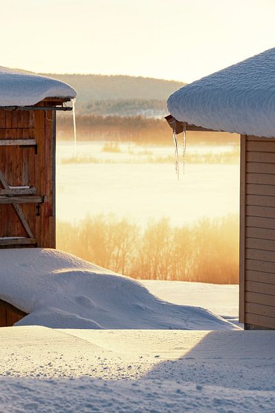 Coucher de soleil d'hiver sur un paysage de neige gelée sur l'île de Senja dans le nord de la Norvèg par Sjoerd van der Wal Photographie