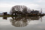 Weerkaatsing bij hoogwater van Kees van Dun thumbnail