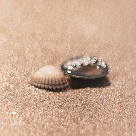 Schelpen op het strand, warme kleuren van Yanuschka | Fotografie Noordwijk