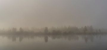 La rivière Reka Biryursa avec ses arbres dans la brume du matin.