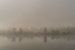 La rivière Reka Biryursa avec ses arbres dans la brume du matin. sur Daan Kloeg