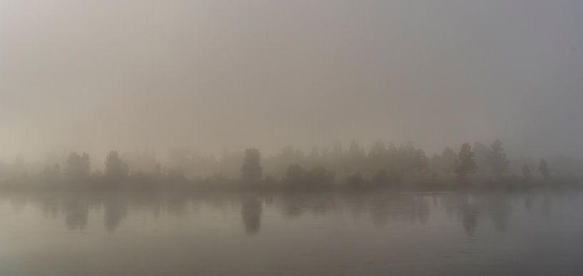 Reka Biryursa Fluss mit Bäumen im Morgennebel. von Daan Kloeg