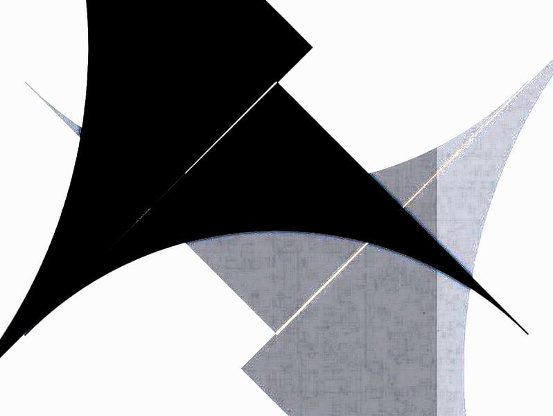 FIORI.2025.1 van rita sacco