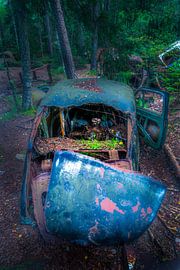 Ake's car graveyard Kyrkö Mosse-22 by ahafineartimages