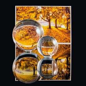 Reflections of Autumn van Richard Feenstra