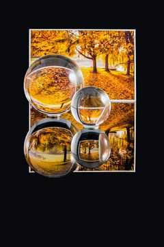 Reflections of Autumn van Richard Feenstra