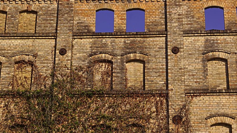 Ruine des Speichers des Mühlenkomplexes Böllberg in Halle in Deutschland von Babetts Bildergalerie