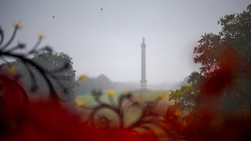 The The Column of Victory at Blenheim Palace by Robert Ruidl