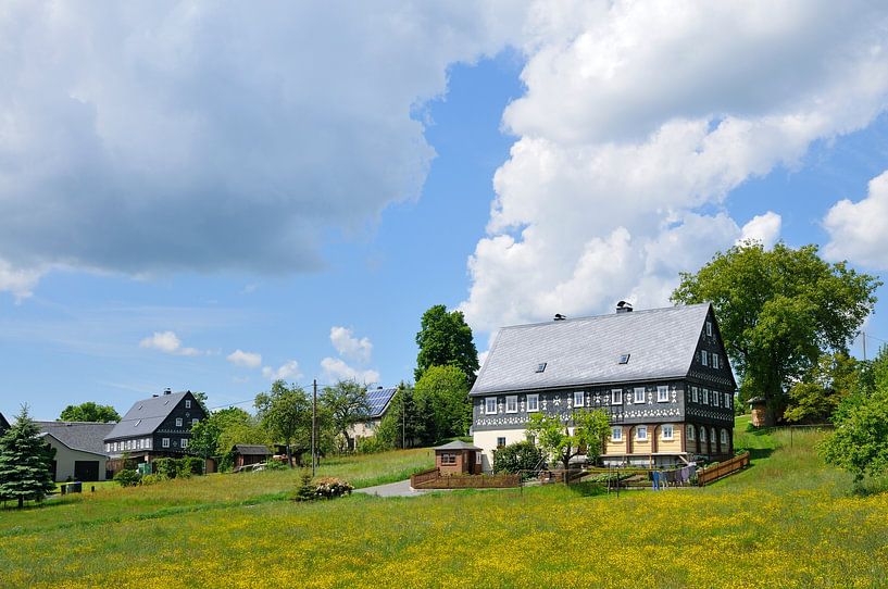 Weifa by Karin Jähne