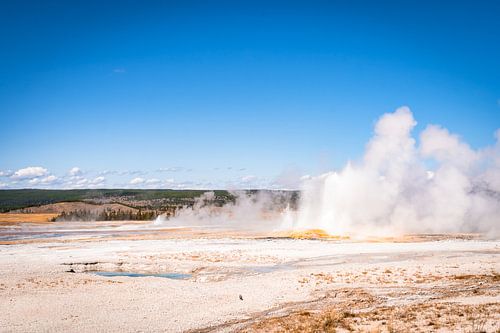 Nature in Yellowstone National Park