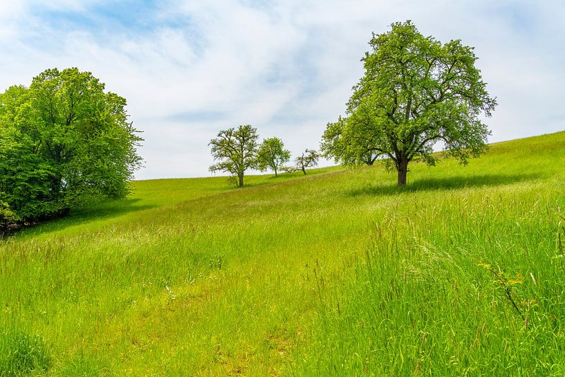 Idyllisch landelijk landschap van Achim Prill