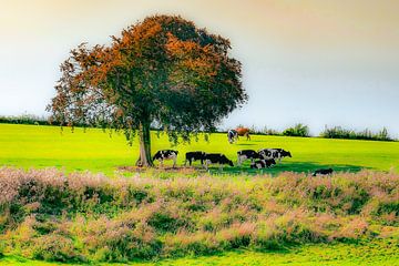 Koeien onder boom, België. van Jaap Bosma Fotografie