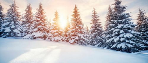 Winter landscape in the light