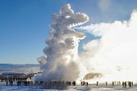 Funny Dino kids wall decor by Martijn Schrijver