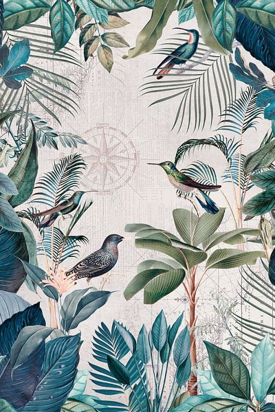 De grote reis van de vogels van Andrea Haase