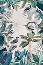 De grote reis van de vogels van Andrea Haase thumbnail
