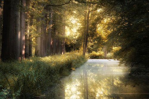 Healing Waters