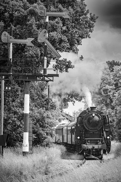 Stoomtrein met rook uit de locomotief rijdt door het platteland van Sjoerd van der Wal Fotografie