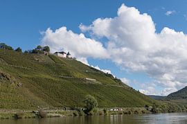 Pünderich sur Richard Wareham