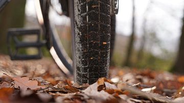 Fahrrad im Herbstwald, Freizeit von Maximilian Burnos