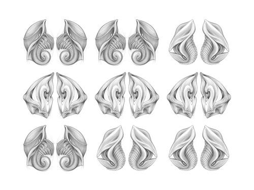 Pattern from imaginary life forms 1