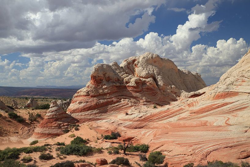 White Pocket, Vermilion Cliffs National Monument, Arizona van Frank Fichtmüller