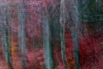 FAIRYTALE FOREST 3 by Miroslav Ptacek