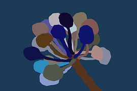 Clivia von True Color Stories