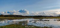Drentsche Aa river valley by Roland's Foto's thumbnail