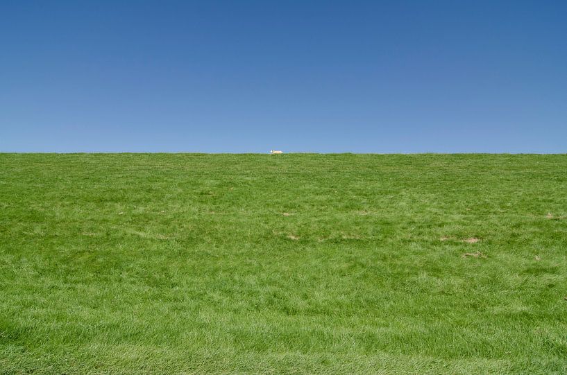 Het eenzame schaap. van Greet ten Have-Bloem