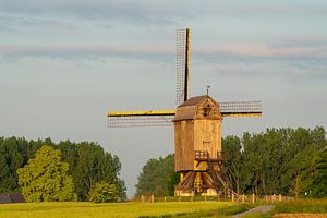 Un moulin à vent le matin
