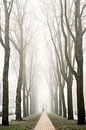 Foggy morning in The Hague by Sjoerd van der Hucht thumbnail