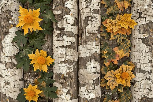 Zonnebloemen van Van Gogh