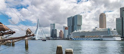 Aida Prima - Rotterdam Cruise city