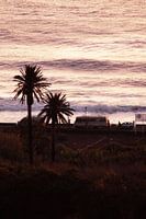 Beach Life