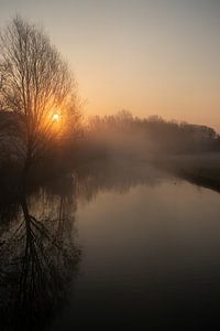 Misty morning 2 van Mirjam Duizendstra